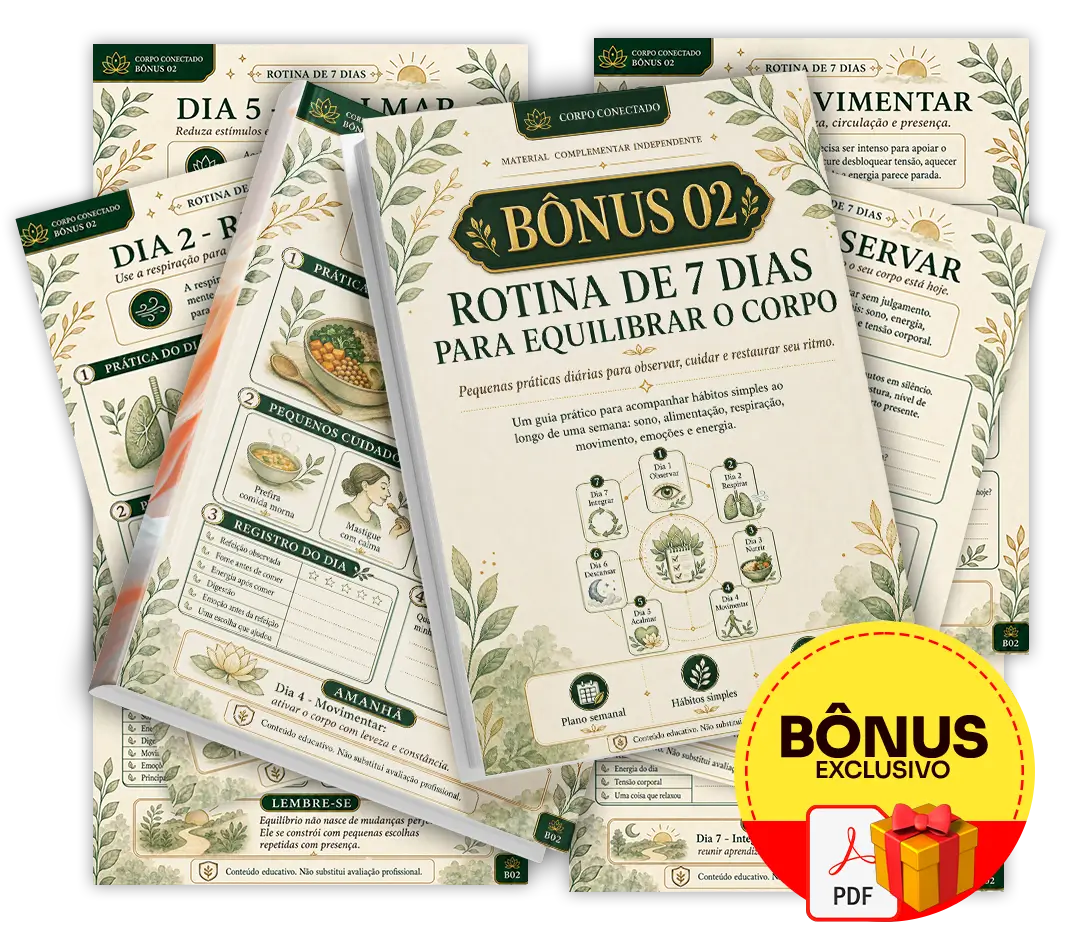 Mockup do Bônus 02